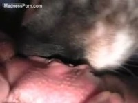 Dirty wife excited to please her husband by having animal sex with their pet